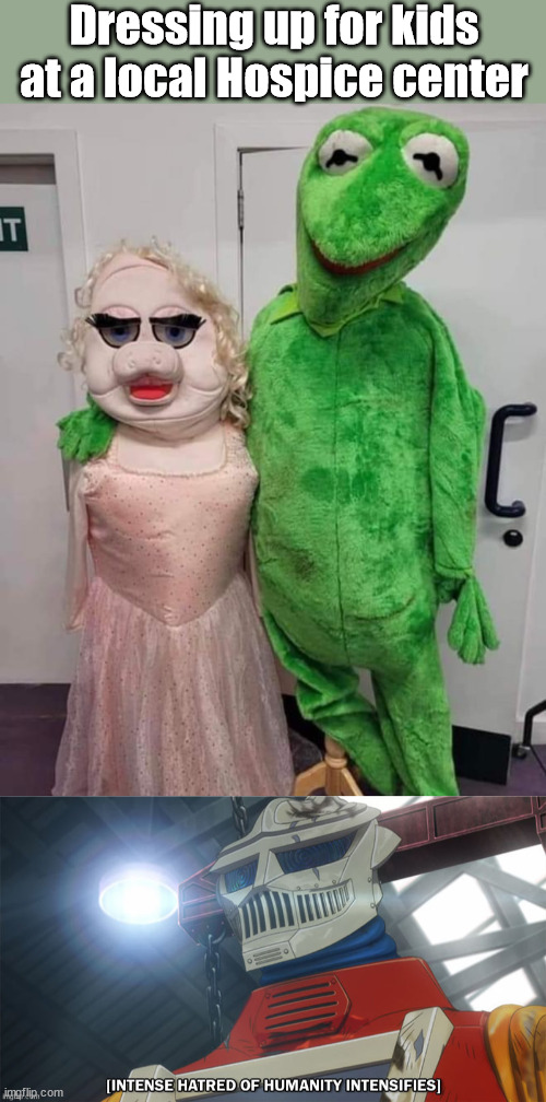 Are you tryingto freak out kids? |  Dressing up for kids at a local Hospice center | image tagged in costume,kermit the frog,miss piggy | made w/ Imgflip meme maker