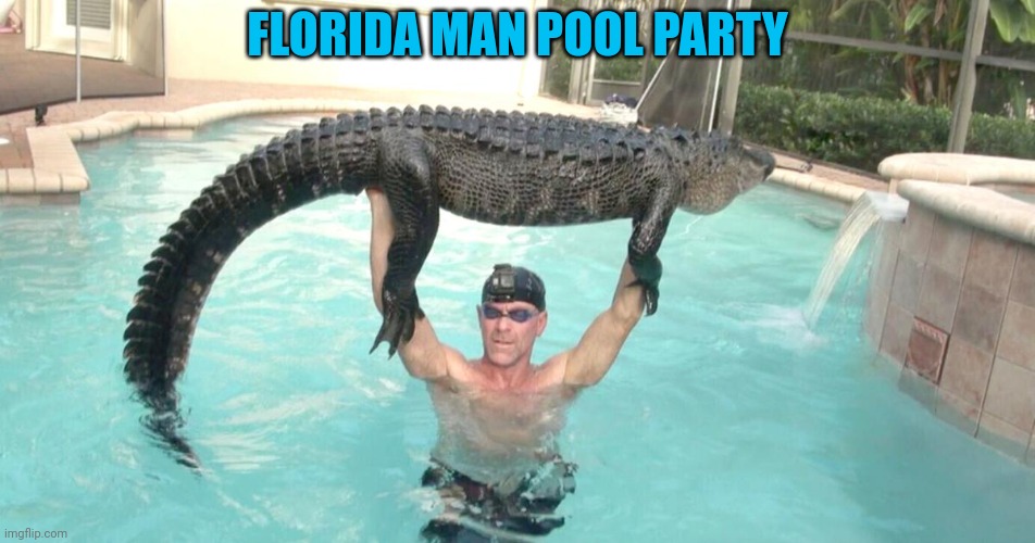 No. This is not ok. | FLORIDA MAN POOL PARTY | image tagged in florida man week,alligator,this is not okie dokie,florida,problems | made w/ Imgflip meme maker