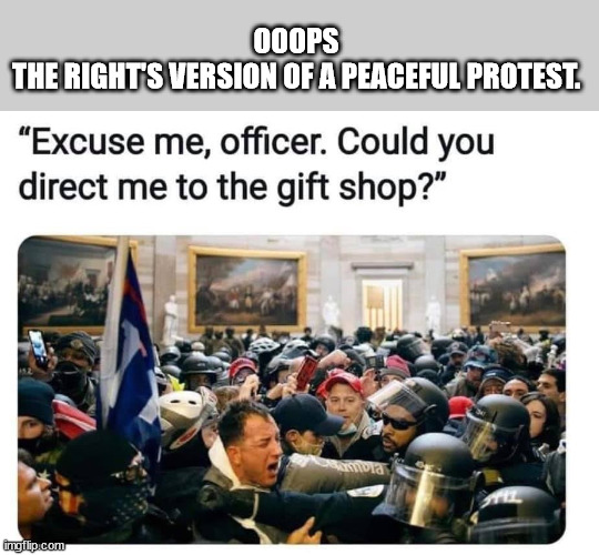 OOOPS
THE RIGHT'S VERSION OF A PEACEFUL PROTEST. | made w/ Imgflip meme maker