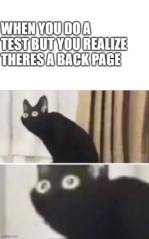 hmmmm | WHEN YOU DO A TEST BUT YOU REALIZE THERES A BACK PAGE | image tagged in oh no black cat | made w/ Imgflip meme maker