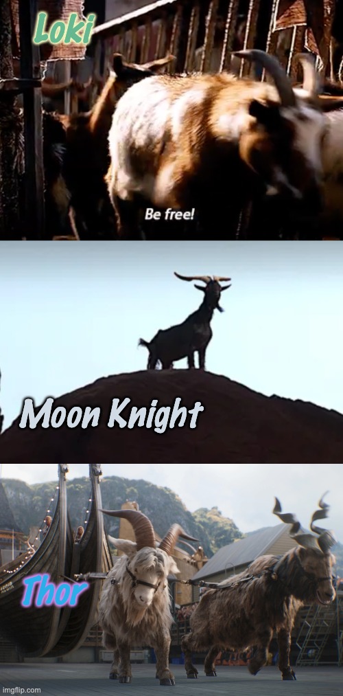 Marvel Phase 4: season of the goat | Loki; Moon Knight; Thor | image tagged in goats,mcu,movies,tv shows | made w/ Imgflip meme maker