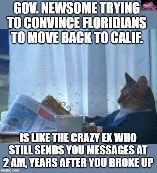 The guy is out of touch with reality | GOV. NEWSOME TRYING TO CONVINCE FLORIDIANS TO MOVE BACK TO CALIF. IS LIKE THE CRAZY EX WHO STILL SENDS YOU MESSAGES AT 2 AM, YEARS AFTER YOU BROKE UP | image tagged in memes,i should buy a boat cat | made w/ Imgflip meme maker