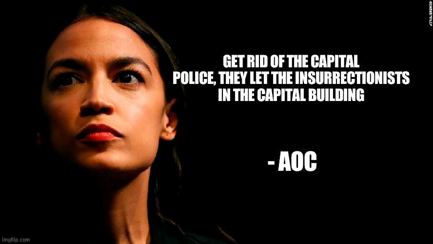 This Super Genius herr said this after being trolled by Alex Stein | GET RID OF THE CAPITAL POLICE, THEY LET THE INSURRECTIONISTS IN THE CAPITAL BUILDING; - AOC | image tagged in ocasio-cortez super genius,capital,aoc | made w/ Imgflip meme maker