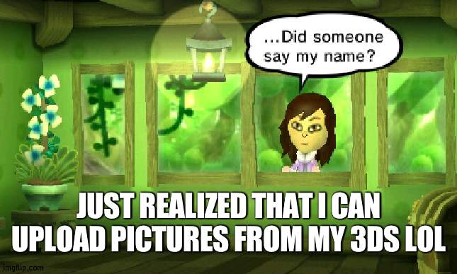 lol | JUST REALIZED THAT I CAN UPLOAD PICTURES FROM MY 3DS LOL | made w/ Imgflip meme maker