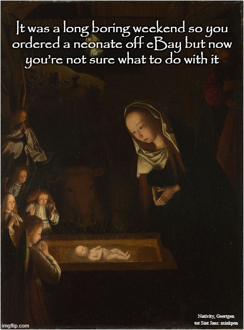 Online Shopping | It was a long boring weekend so you
ordered a neonate off eBay but now
you’re not sure what to do with it; Nativity, Geertgen tot Sint Jans: minkpen | image tagged in art memes,atheism,babies,baby jesus,madonna,nativity | made w/ Imgflip meme maker