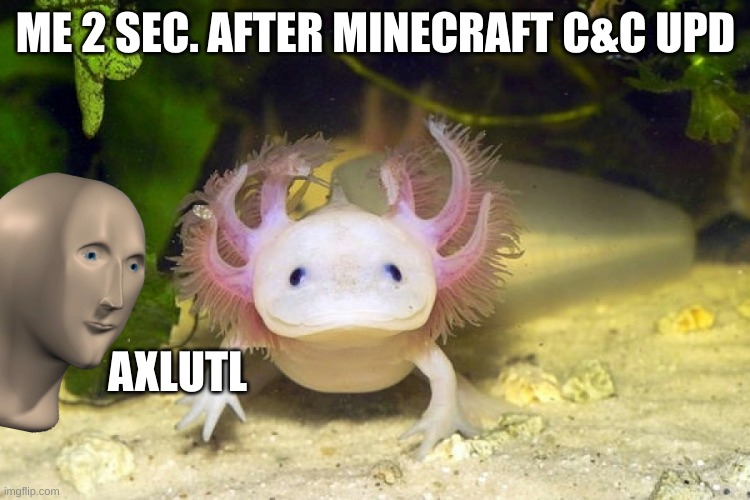 i barely knew they existed before the upd | ME 2 SEC. AFTER MINECRAFT C&C UPD; AXLUTL | image tagged in axolotl,meme man,minecraft | made w/ Imgflip meme maker