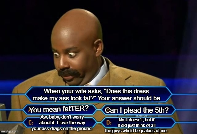 Who wants to be a millionaire? | When your wife asks, "Does this dress make my ass look fat?" Your answer should be; You mean fatTER? Can I plead the 5th? Aw, baby, don't worry about it. I love the way your ass drags on the ground. No it doesn't, but if it did just think of all the guys who'd be jealous of me. | image tagged in who wants to be a millionaire | made w/ Imgflip meme maker