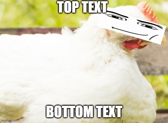 Man Chicken | TOP TEXT; BOTTOM TEXT | image tagged in man face,chicken | made w/ Imgflip meme maker
