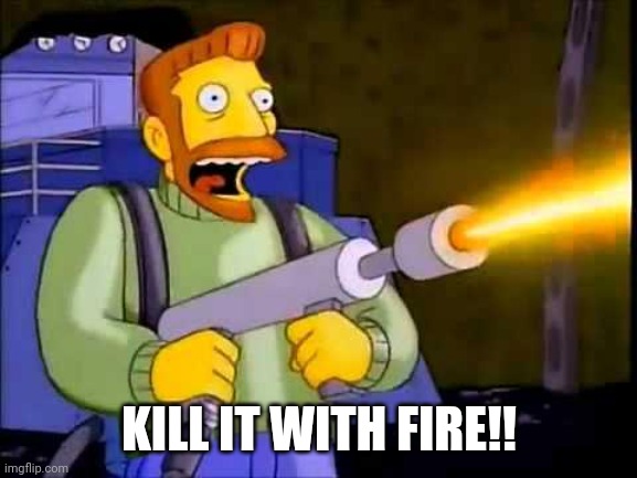 Kill it with fire | KILL IT WITH FIRE!! | image tagged in kill it with fire | made w/ Imgflip meme maker