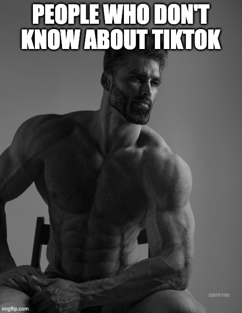 Giga Chad | PEOPLE WHO DON'T KNOW ABOUT TIKTOK | image tagged in giga chad | made w/ Imgflip meme maker