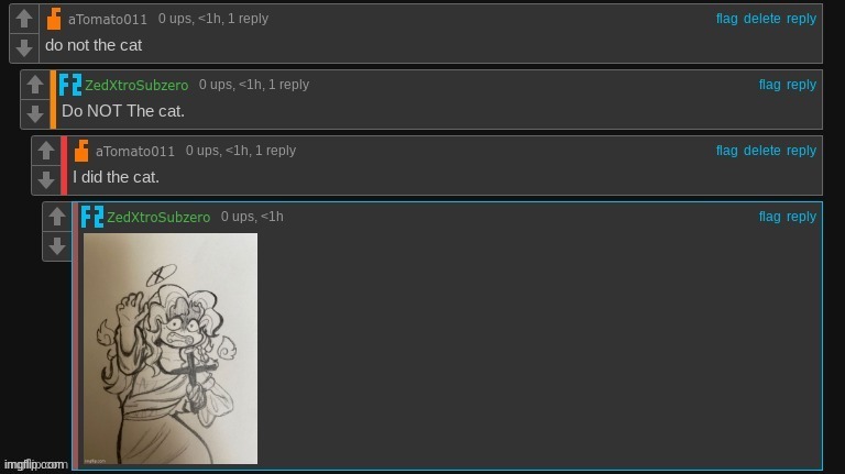 He did the cat Blank Meme Template