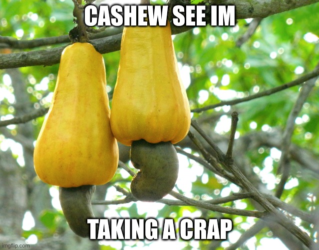 cashew meme | CASHEW SEE IM; TAKING A CRAP | image tagged in funny | made w/ Imgflip meme maker