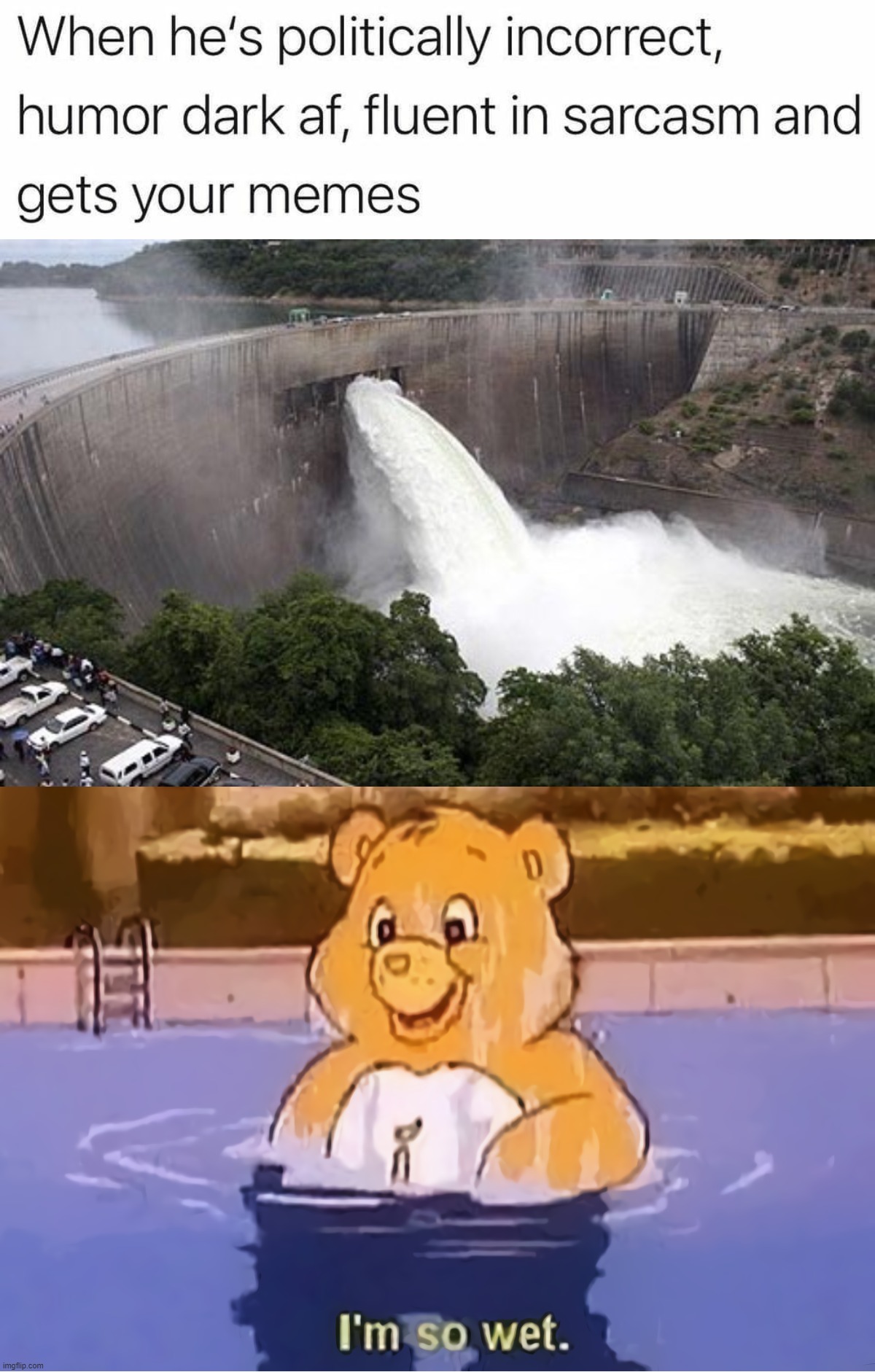 How women react to me | image tagged in floodgate,care bear i'm so wet | made w/ Imgflip meme maker
