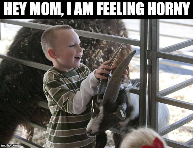 HEY MOM, I AM FEELING HORNY | image tagged in eye roll | made w/ Imgflip meme maker