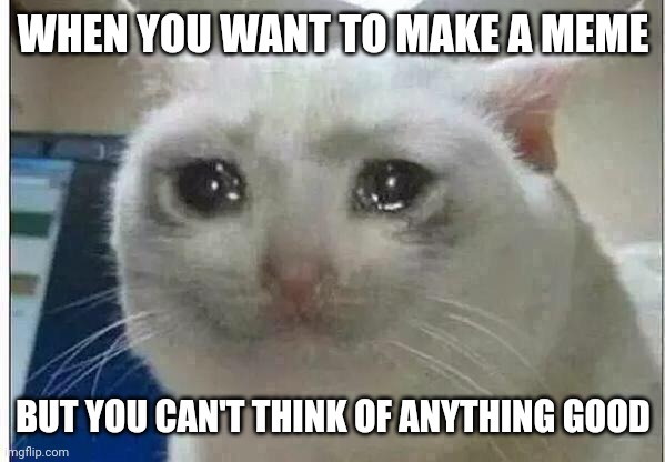 crying cat | WHEN YOU WANT TO MAKE A MEME; BUT YOU CAN'T THINK OF ANYTHING GOOD | image tagged in crying cat | made w/ Imgflip meme maker