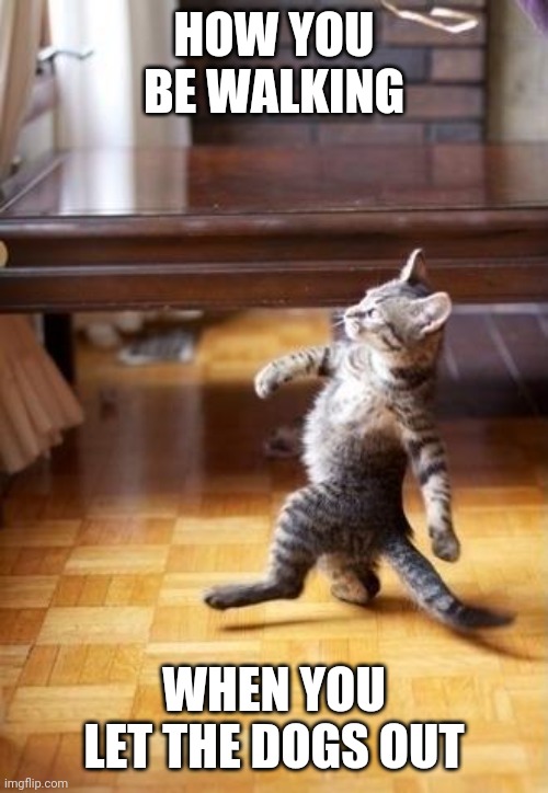 Cool Cat Stroll Meme |  HOW YOU BE WALKING; WHEN YOU LET THE DOGS OUT | image tagged in memes,cool cat stroll | made w/ Imgflip meme maker