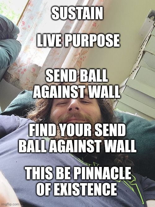 Pinnacle of Existence | SUSTAIN; LIVE PURPOSE; SEND BALL AGAINST WALL; FIND YOUR SEND BALL AGAINST WALL; THIS BE PINNACLE OF EXISTENCE | image tagged in existence,original meme | made w/ Imgflip meme maker