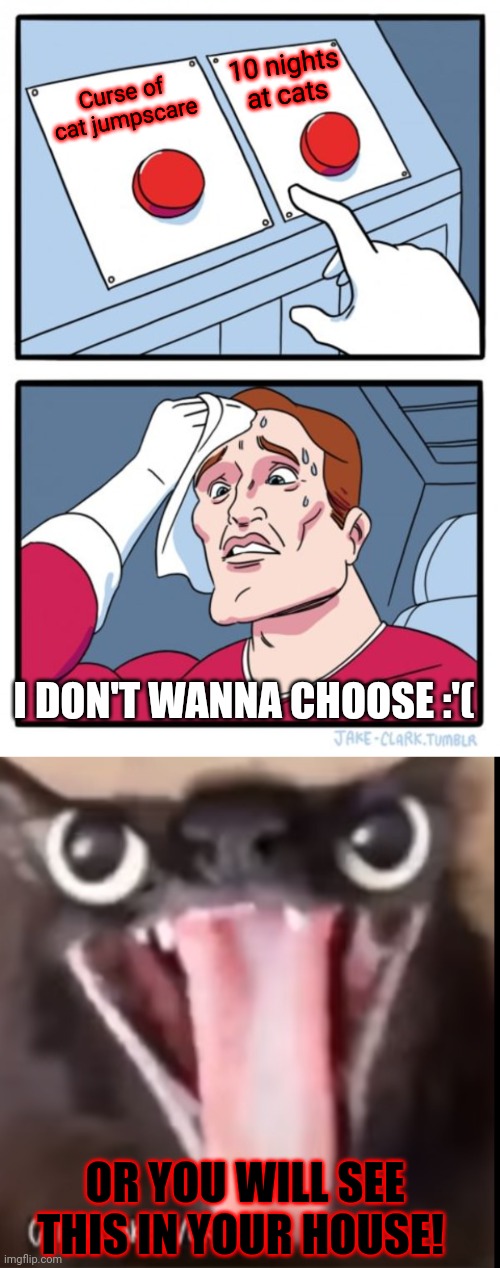 You shouldn't have came here!!!!!! | 10 nights at cats; Curse of cat jumpscare; I DON'T WANNA CHOOSE :'(; OR YOU WILL SEE THIS IN YOUR HOUSE! | image tagged in memes,two buttons | made w/ Imgflip meme maker