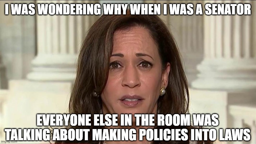 kamala harris | I WAS WONDERING WHY WHEN I WAS A SENATOR EVERYONE ELSE IN THE ROOM WAS TALKING ABOUT MAKING POLICIES INTO LAWS | image tagged in kamala harris | made w/ Imgflip meme maker