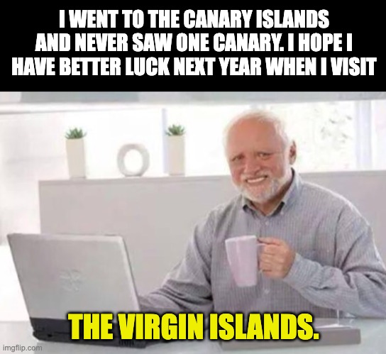 Islands | I WENT TO THE CANARY ISLANDS AND NEVER SAW ONE CANARY. I HOPE I HAVE BETTER LUCK NEXT YEAR WHEN I VISIT; THE VIRGIN ISLANDS. | image tagged in harold | made w/ Imgflip meme maker