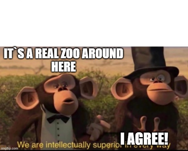 This place is a Zoo | IT`S A REAL ZOO AROUND
HERE; I AGREE! | image tagged in we are intellectually superior in every way,zoo,zootopia,mad house | made w/ Imgflip meme maker