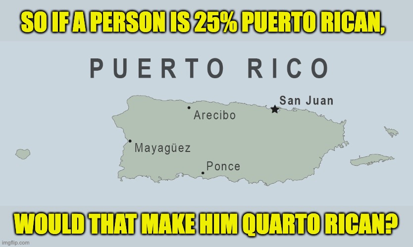 25% | SO IF A PERSON IS 25% PUERTO RICAN, WOULD THAT MAKE HIM QUARTO RICAN? | image tagged in bad pun | made w/ Imgflip meme maker