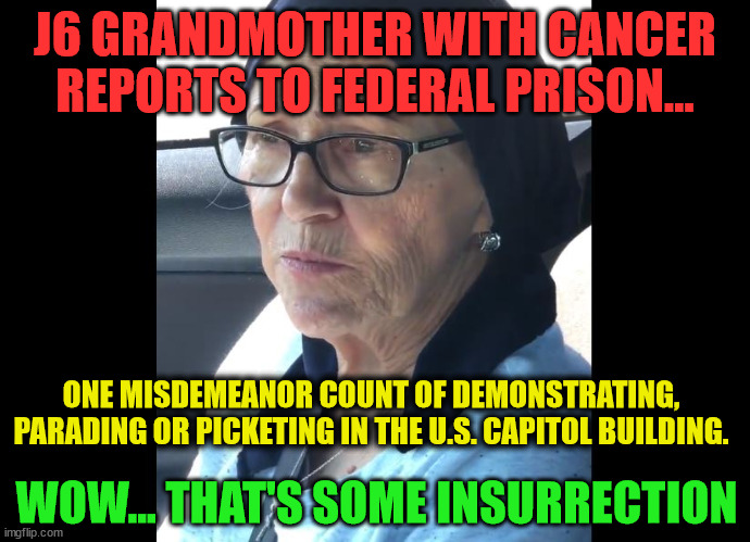 Just an ordinary American wanting the governement to investigate the election fraud | J6 GRANDMOTHER WITH CANCER REPORTS TO FEDERAL PRISON…; ONE MISDEMEANOR COUNT OF DEMONSTRATING, PARADING OR PICKETING IN THE U.S. CAPITOL BUILDING. WOW... THAT'S SOME INSURRECTION | image tagged in patriots | made w/ Imgflip meme maker