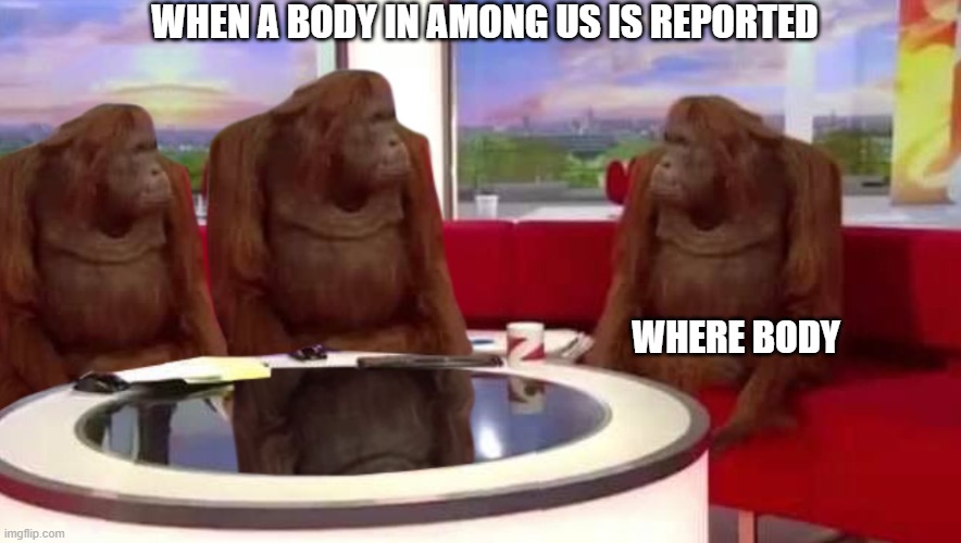 amogus | WHEN A BODY IN AMONG US IS REPORTED; WHERE BODY | image tagged in where monkey | made w/ Imgflip meme maker