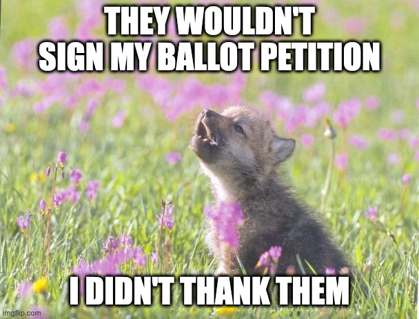 Baby Insanity Wolf Meme | THEY WOULDN'T SIGN MY BALLOT PETITION; I DIDN'T THANK THEM | image tagged in memes,baby insanity wolf | made w/ Imgflip meme maker