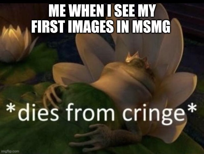 Dies from cringe | ME WHEN I SEE MY FIRST IMAGES IN MSMG | image tagged in dies from cringe | made w/ Imgflip meme maker
