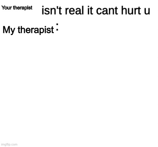 This sounded funnier in my head | Your therapist; My therapist | image tagged in x isn't real | made w/ Imgflip meme maker