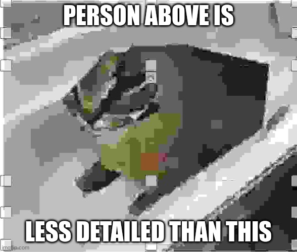 ye | PERSON ABOVE IS; LESS DETAILED THAN THIS | image tagged in very low quality floppa,memes,shitpost | made w/ Imgflip meme maker