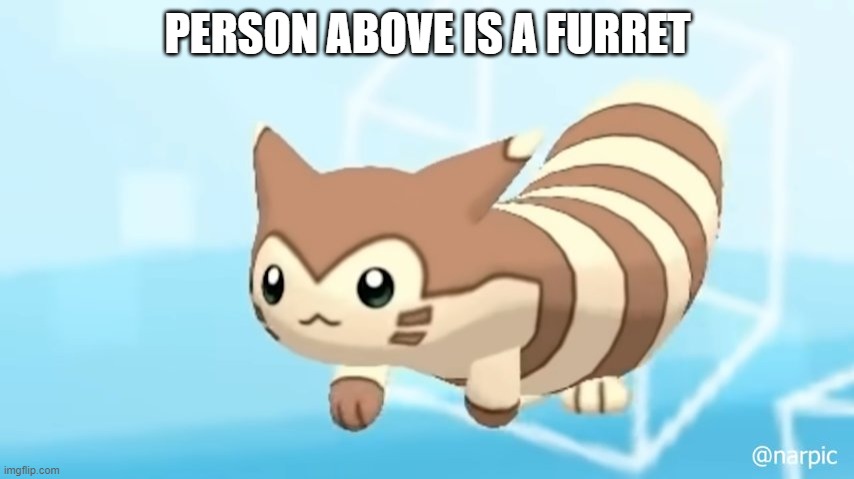 Furret Walcc | PERSON ABOVE IS A FURRET | image tagged in furret walcc | made w/ Imgflip meme maker