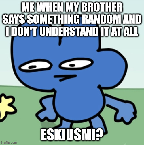 BFDI Four Strange Face | ME WHEN MY BROTHER SAYS SOMETHING RANDOM AND I DON'T UNDERSTAND IT AT ALL; ESKIUSMI? | image tagged in bfdi four strange face | made w/ Imgflip meme maker