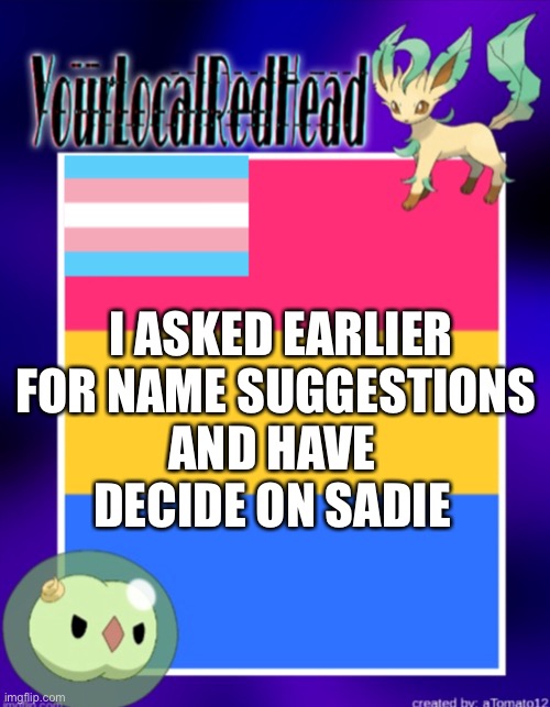 I put the link in the comments | I ASKED EARLIER FOR NAME SUGGESTIONS; AND HAVE DECIDE ON SADIE | image tagged in yourlocalredhead s temp | made w/ Imgflip meme maker