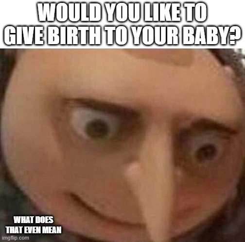someone said this | WOULD YOU LIKE TO GIVE BIRTH TO YOUR BABY? WHAT DOES THAT EVEN MEAN | image tagged in gru meme,what | made w/ Imgflip meme maker