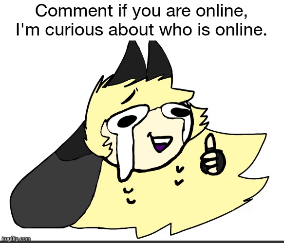 E | Comment if you are online, I'm curious about who is online. | image tagged in i'm okay luna | made w/ Imgflip meme maker