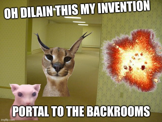 how memeonaut and I_dilain portal to the backrooms | OH DILAIN THIS MY INVENTION; PORTAL TO THE BACKROOMS | image tagged in cats | made w/ Imgflip meme maker