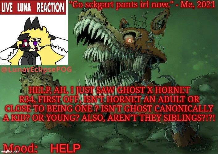 HEELLLLPPPP | HELP, AH, I JUST SAW GHOST X HORNET R34, FIRST OFF, ISN'T HORNET AN ADULT OR CLOSE TO BEING ONE ? ISN'T GHOST CANONICALLY A KID? OR YOUNG? ALSO, AREN'T THEY SIBLINGS?!?! HELP | image tagged in luna's twisted foxy temp | made w/ Imgflip meme maker