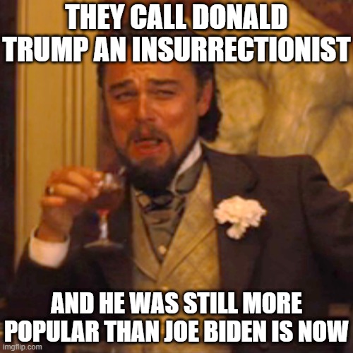 Laughing Leo | THEY CALL DONALD TRUMP AN INSURRECTIONIST; AND HE WAS STILL MORE POPULAR THAN JOE BIDEN IS NOW | image tagged in memes,laughing leo | made w/ Imgflip meme maker