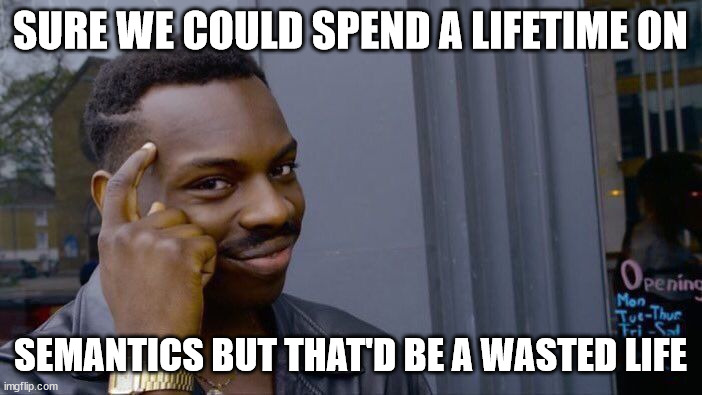 Roll Safe Think About It Meme | SURE WE COULD SPEND A LIFETIME ON SEMANTICS BUT THAT'D BE A WASTED LIFE | image tagged in memes,roll safe think about it | made w/ Imgflip meme maker