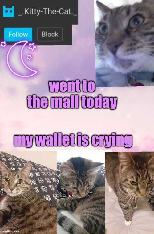 Kitty's Announcement Template | went to the mall today; my wallet is crying | image tagged in kitty's announcement template | made w/ Imgflip meme maker