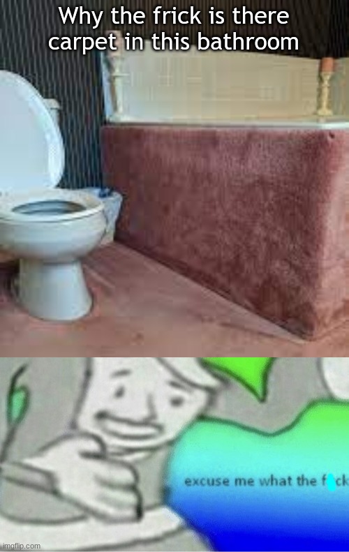 Whoever designed this, why? | Why the frick is there carpet in this bathroom | image tagged in excuse me wtf blank template | made w/ Imgflip meme maker