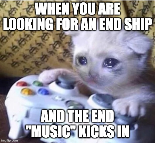 do people actually read the titles? | WHEN YOU ARE LOOKING FOR AN END SHIP; AND THE END "MUSIC" KICKS IN | image tagged in sad gaming cat | made w/ Imgflip meme maker