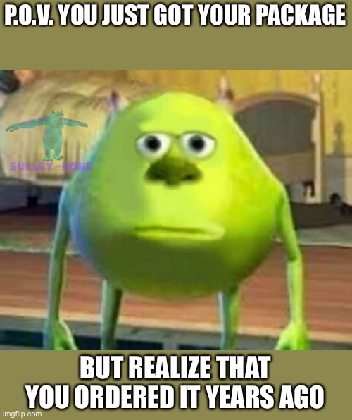 Same day delivery be like | P.O.V. YOU JUST GOT YOUR PACKAGE; BUT REALIZE THAT YOU ORDERED IT YEARS AGO | image tagged in monsters inc | made w/ Imgflip meme maker