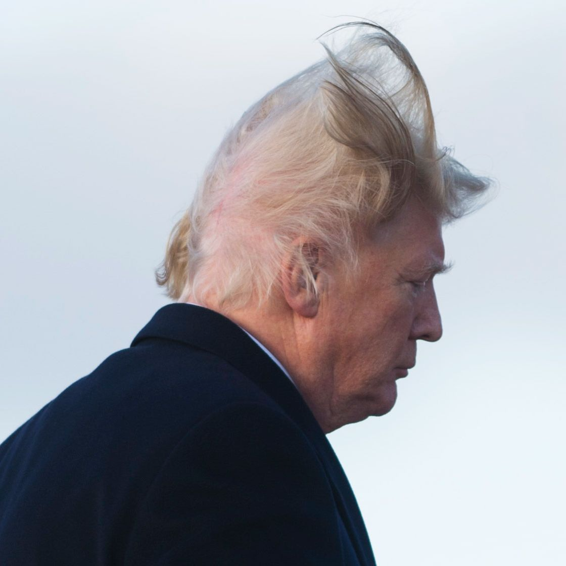 The back of trump's head Blank Meme Template