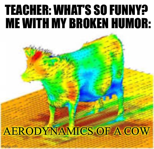 Happens more than you would expect |  ME WITH MY BROKEN HUMOR:; TEACHER: WHAT’S SO FUNNY? AERODYNAMICS OF A COW | image tagged in aerodynamics of a cow,funny memes,shitpost,school,funny,why is the fbi here | made w/ Imgflip meme maker