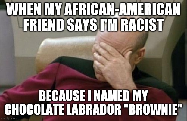 Chocolate lives matter! |  WHEN MY AFRICAN-AMERICAN FRIEND SAYS I'M RACIST; BECAUSE I NAMED MY CHOCOLATE LABRADOR "BROWNIE" | image tagged in memes,captain picard facepalm,dogs,labrador,racism,not a true story | made w/ Imgflip meme maker