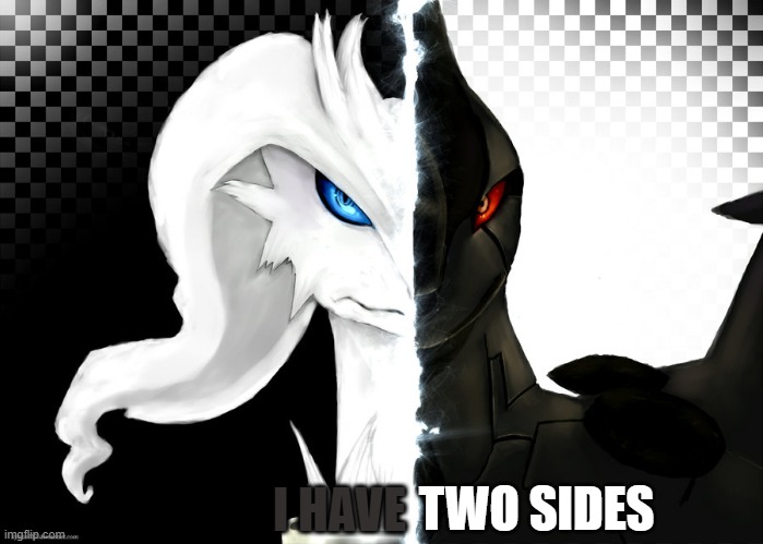 TWO SIDES; I HAVE | made w/ Imgflip meme maker