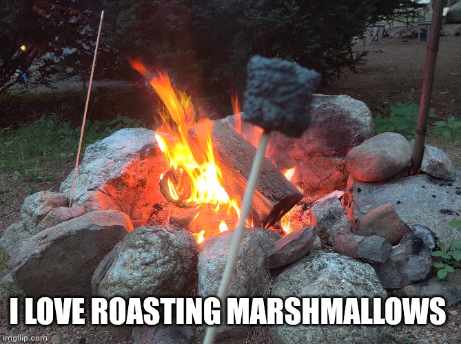 I LOVE ROASTING MARSHMALLOWS | made w/ Imgflip meme maker